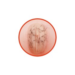 Lalka B-SERIES Angelina